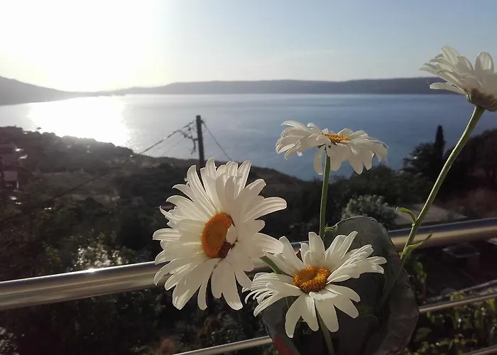 Olympic View Guesthouse
