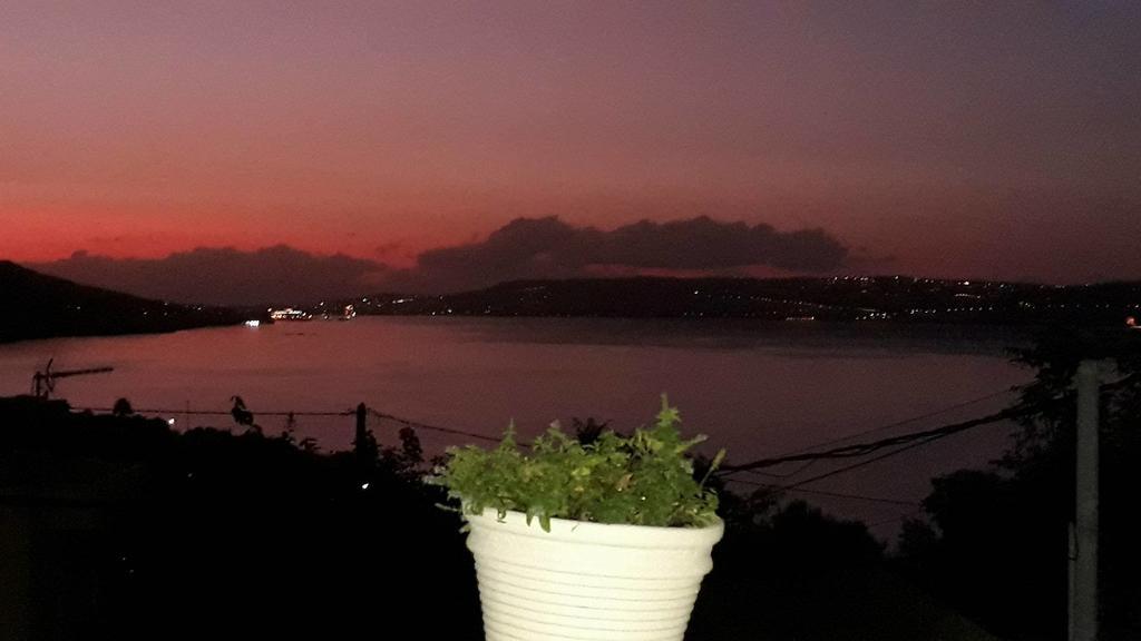 Olympic View Affittacamere